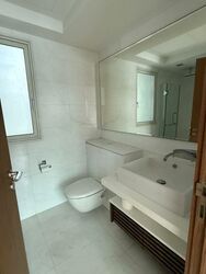 Suites At Orchard (D9), Apartment #498813811